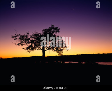 SUNRISE, PEACE VALLEY PARK, LAKE GALENA, BUCKS COUNTY, PENNSYLVANIA, USA Stock Photo