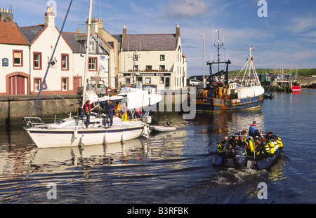 Yacht coming into port berth on a quiet still morning in scenic Eyemouth Harbour Berwickshire Scottish Borders Scotland UK Stock Photo