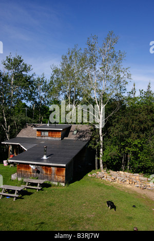 Contryside wooden cabin in Peninsula Michigan USA rural landscape nobody from above cotage forest woods hi-res Stock Photo