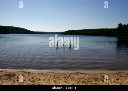 Deer Lake in Michigan USA Three boys brothers men Caucasian having fun playing in water jumping to water jump people landscape outside horizon hi-res Stock Photo