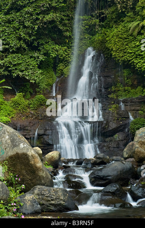 Beautiful scenery of Curug Orok Waterfall in Indonesia rainforest Stock Photo