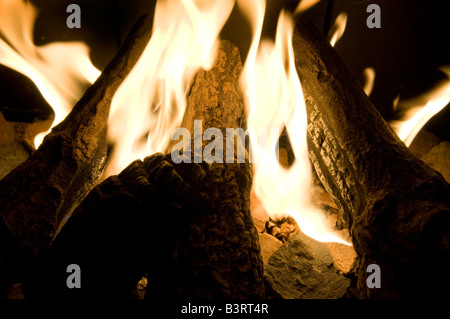 Wood logs being burnt in a fireplace Stock Photo