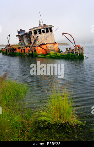 Shipwreck in Gold Beach, Oregon Stock Photo