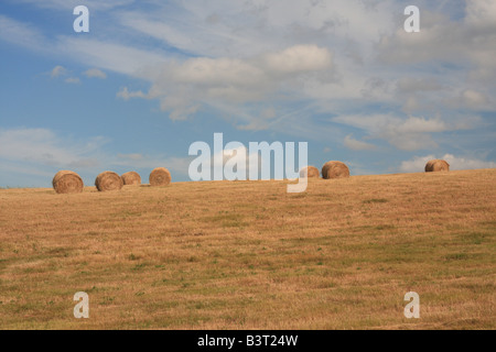 Hay bales on farmland east of Calgary, Alberta Stock Photo