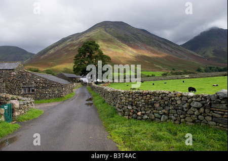 Looking towards Kirk Fell from Wasdale Head up farm track in the English lake District Stock Photo