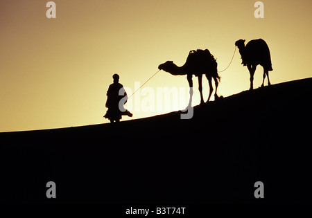 Morocco, Draa, A Berber Tribesman Leads His Camel Through The Sand 