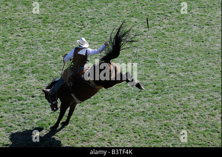 cowboy riding bucking bronc bronco wild ride tough wiley horse unusually difficult ride white caucasian Stock Photo