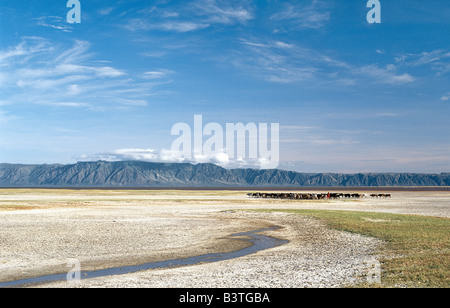 Tanzania, Northern Tanzania, Lake Eyasi. A false arm of the Great Rift Valley runs southeast from the Ngorongoro Highlands to Lake Eyasi, a shallow alkaline lake that can vary in size considerably from one year to the next. The Datoga people graze their livestock around the lakeshores.The Datoga (known to their Maasai neighbours as the Mang'ati and to the Iraqw as Babaraig) live in northern Tanzania and are primarily pastoralists. Stock Photo