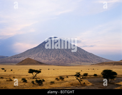 Tanzania, Northern Tanzania, Ol doinyo Lengai, the Maasai's 'Mountain of God', in early morning sunlight. It is the only active volcano in the Gregory Rift - an important section of the eastern branch of Africa's Great Rift Valley. This 9,400-foot-high volcano with deeply eroded sides stands 7,000 feet above the surrounding plains. It still discharges rare carbonatite lavas, which turn white on exposure to air.The last major eruption took place in 1966 although small-scale eruptions within the summit have occurred regularly since 1983. Stock Photo