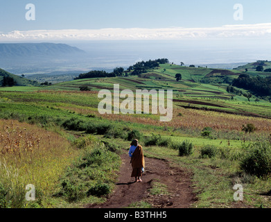 Tanzania, Mbeya. In the early morning, a woman walks along a track in the fertile Southern Highlands region of Tanzania. Stock Photo