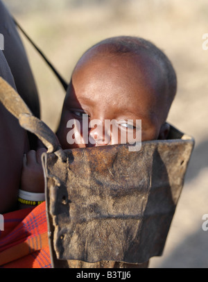 Tanzania, Northern Tanzania, Balangida Lelu. A Datoga baby is carried in a leather carrier on his mother's back. The traditional attire of Datoga women includes beautifully tanned and decorated leather dresses and coiled brass ornaments of every description. Yellow and light blue are the preferred colours of their glass beads. The Datoga (known to their Maasai neighbours as the Mang'ati and to the Iraqw as Babaraig) live in northern Tanzania and are primarily pastoralists. Stock Photo