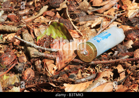 Empty Shotgun Cartridge in Leaf Litter. Stock Photo