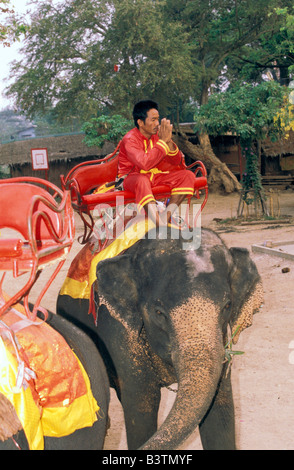 Thailand, Ayuthaya. Mahout in morning prayer. Stock Photo