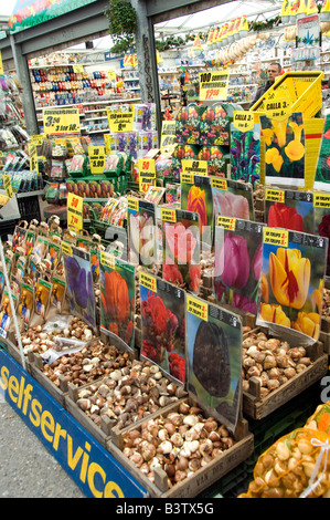 Europe, The Netherlands (aka Holland), Amsterdam. Bloemenmark (aka floating flower market). Tulip bulbs for sale. Stock Photo