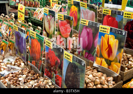 Netherlands (aka Holland), Amsterdam. Bloemenmark (aka floating flower market). Packages of tulip bulbs. Stock Photo