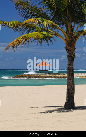 Palm and gazebo at ocean shore, focus at gazebo Stock Photo