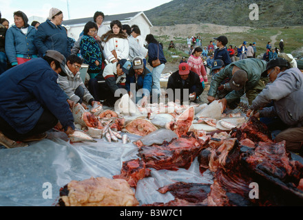 Inuit (Eskimo) people collect shares of Beluga whale meat in arctic village of Pangnirtung, Baffin Island, Nunavut, Canada Stock Photo