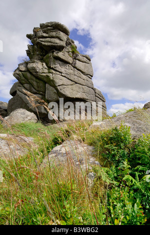 A granite rock stack amongst Bonehill Rocks on Dartmoor with blue sky and white clouds Stock Photo