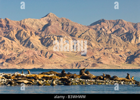 Mexico, Baja California, Bahia de las Animas Stock Photo