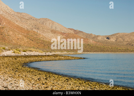 Mexico, Baja California, Midriff Islands, Bahia de las Animas.  Remote eco adventure, pristine bay in Sea of Cortez Stock Photo