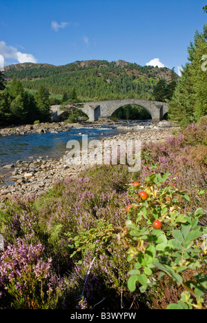 River Dee and Old Brig of Dee ( Invercauld Bridge) nr Braemar Aberdeenshire Stock Photo