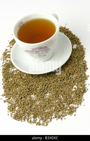 Anise infusion Stock Photo