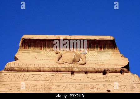 Double temple of Kom Ombo (Ombos) in ancient Egypt with papyrus