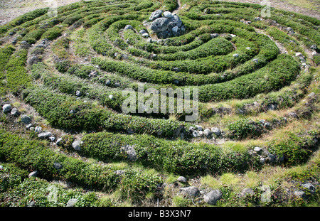 Prehistoric stone labyrinth on the Zayatsky islands close to the Solovetsky Islands in the White Sea, Russia Stock Photo