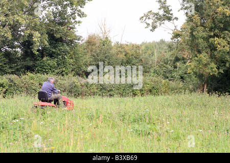 Man mowing a lawn on ride-on mower Stock Photo