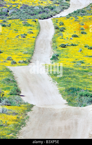 Road through Antelope Valley Poppy Preserve California Stock Photo