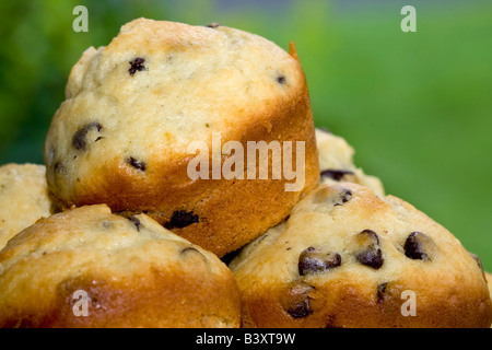 Close up of fresh chocolate chip muffins Stock Photo