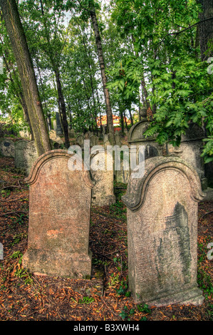Old Jewish cemetery at Kolin - one of the oldest landmarks of that kind in Bohemia. Jewish Cemetery from 15th century. Stock Photo