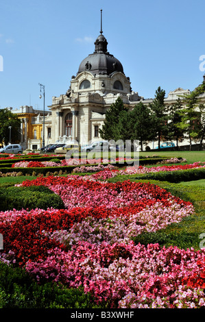 Szechenyi thermal baths exterior view Varosliget City Park Budapest Hungary Stock Photo