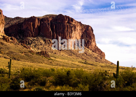 Superstition Mountains in Lost Dutchman State Park near Mesa Arizona with Saguaro Cacti in foreground . Stock Photo