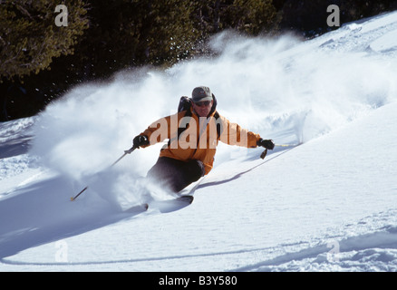 Back country helicopter skier in the powder of the Ruby Mountains, Nevada, USA Stock Photo