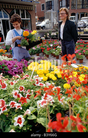 Shop keeper selling fresh flowers to a female customer, Eu, Normandy Region, France Stock Photo