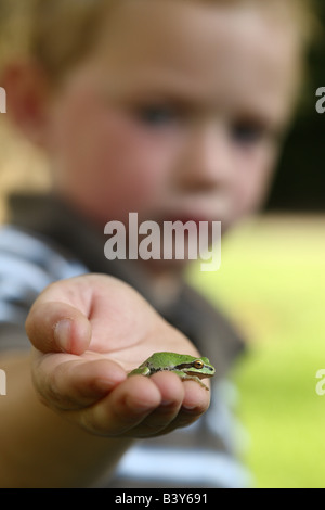 Young boy holding small tree frog Stock Photo