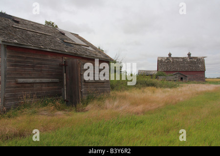 Old farm buildings at Allan, Saskatchewan Stock Photo