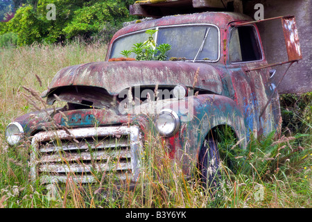 Old truck in field near Sequim Washington Stock Photo