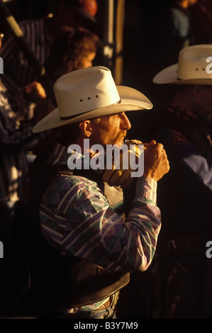 Lone American professional cowboy in pro rodeo setting sun  tall man white stetson cinching tightenin glove with his teeth Stock Photo