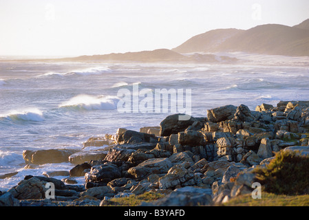 South Africa, Cape Peninsula, Cape of Good Hope Nature Reserve. Sunset at Cape of Good Hope Stock Photo