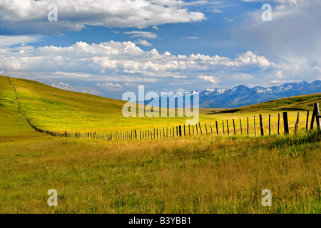 Pasture in Zumwalt Prairie with fence and Wallowa Mountains Oregon