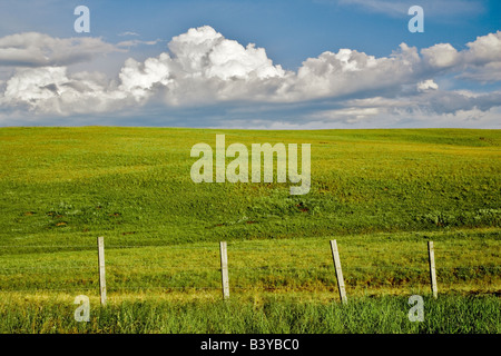Pasture in Zumwalt Prairie with fence Oregon