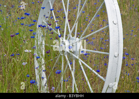 Decorative wheel in fence line The Palouse Washington Stock Photo