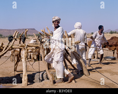 Sudan, Sahara Desert, Musawwarat. During the heat of the day, men water their livestock from deep wells near Musawwarat, situated in desert country south of Shendi. They use large leather buckets, which are raised to the surface on pulleys using donkeys and camels. Stock Photo