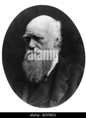 Darwin, Charles Robert, 12.2.1809 - 19.4.1882, British naturalist, portrait, late 19th century , Stock Photo