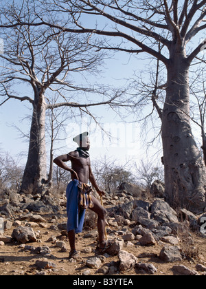 Namibia, Kaokoland, Epupa. A Himba man stands in rocky ground among baobab trees. He has the traditional hairstyle of a married man, known as ondumbu. The hair is piled high on the crown of the head and covered with a cloth. Years ago, his pleated front and rear garments would have been made of leather. Himba of both sexes wear ombwari - heavy, round necklaces made with white beads.The Himba are Herero-speaking Bantu nomads who live in the harsh, dry but starkly beautiful landscape of remote northwest Namibia. Stock Photo