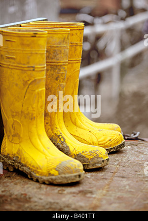 Two pairs of Wellington boots Stock Photo