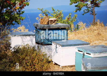 Roadside bee hives, Sithonia Peninsula, Chalkidiki, Central Macedonia, Greece Stock Photo