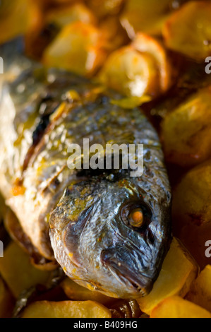 gilthead bream fish roasted in a tray Stock Photo